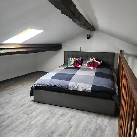 דירה Beau Duplex Pres Du Chateau De Stanislas